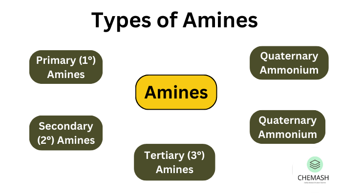 Types of Amines