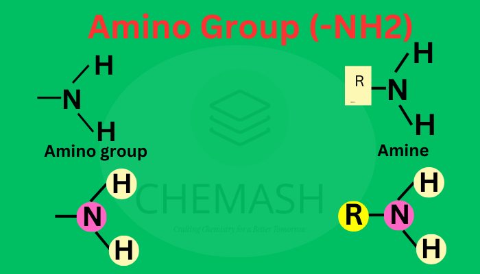 Amino Group (-NH)