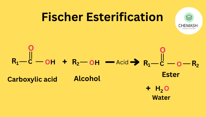 Fischer Esterification