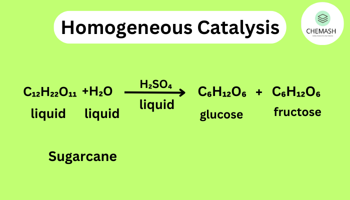 Homogeneous Catalysis