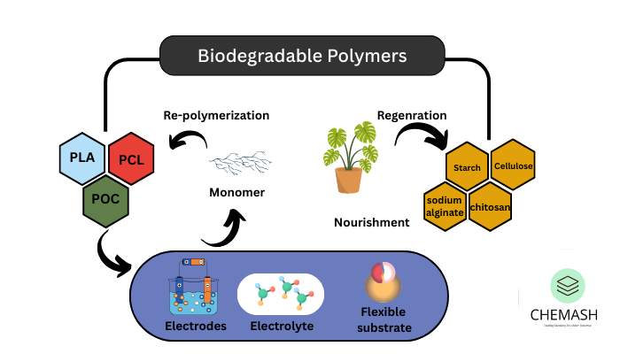 Biodegradable Polymers