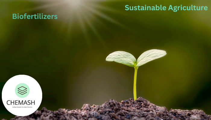 Biofertilizers and Green Alternatives - Sustainable Agriculture