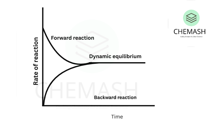 Dynamic Nature of Equilibrium