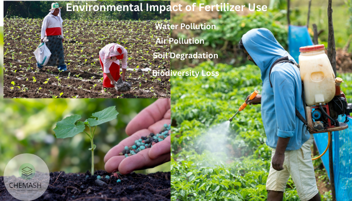 Environmental Impact of Fertilizer Use