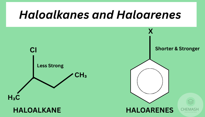 Environmental Impact of Haloalkanes and Haloarenes |