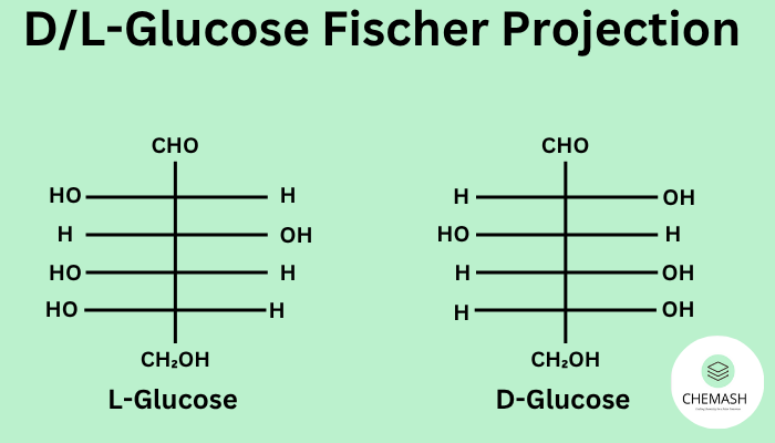 D:L Fischer Projections
